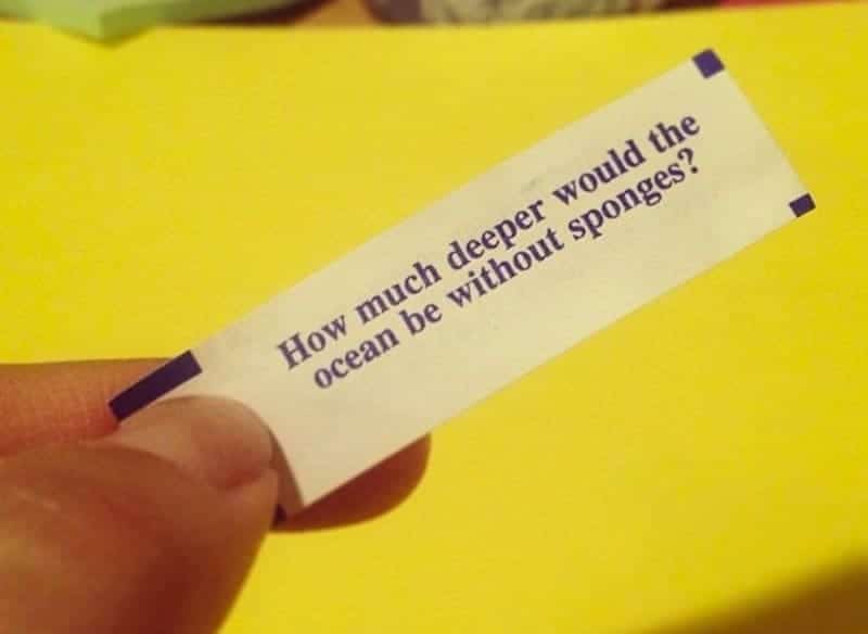 20 Funny Fortune Cookie Sayings To Crack You Up - Page 3 of 5