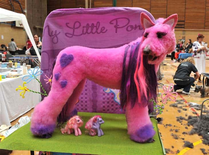 15 Amazing Examples Of Creative Dog Grooming