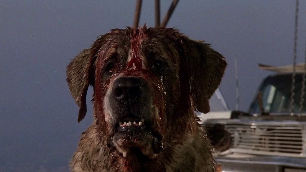 15 Of The Most Shocking Killer Animals In Movies