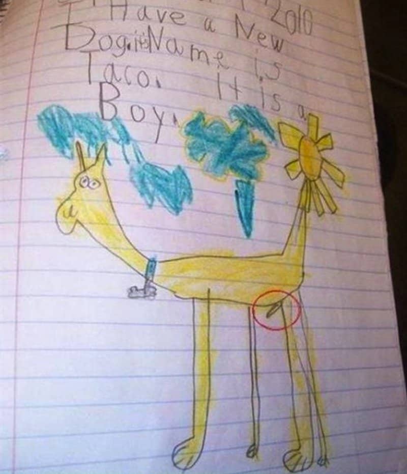 20 Unintentionally Inappropriate Kid Drawings Will Make Your Jaw Drop