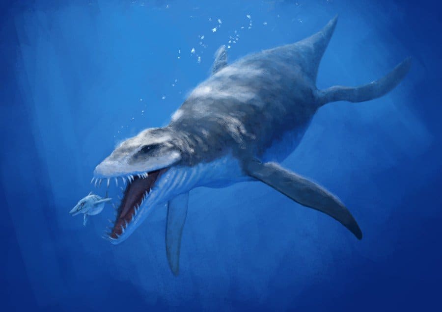 10 Prehistoric Sea Creatures We're Thankful Are Extinct