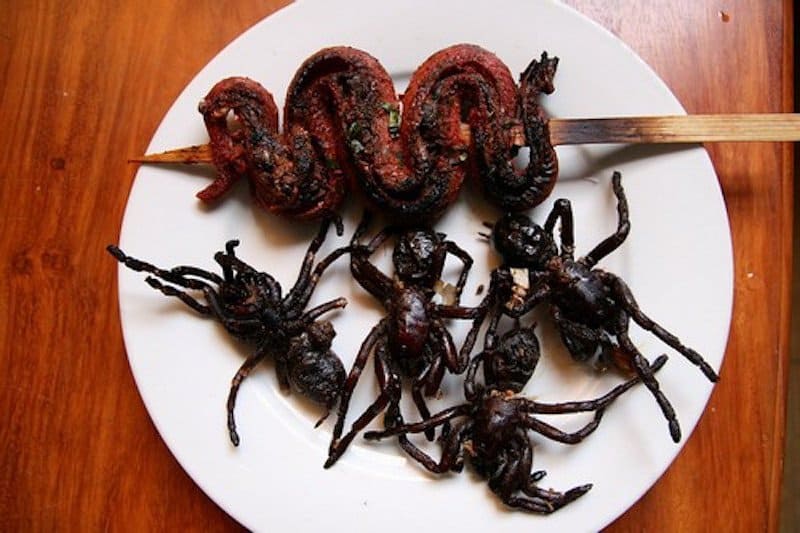 10 Disgusting Foods You Won't Believe People Actually Eat